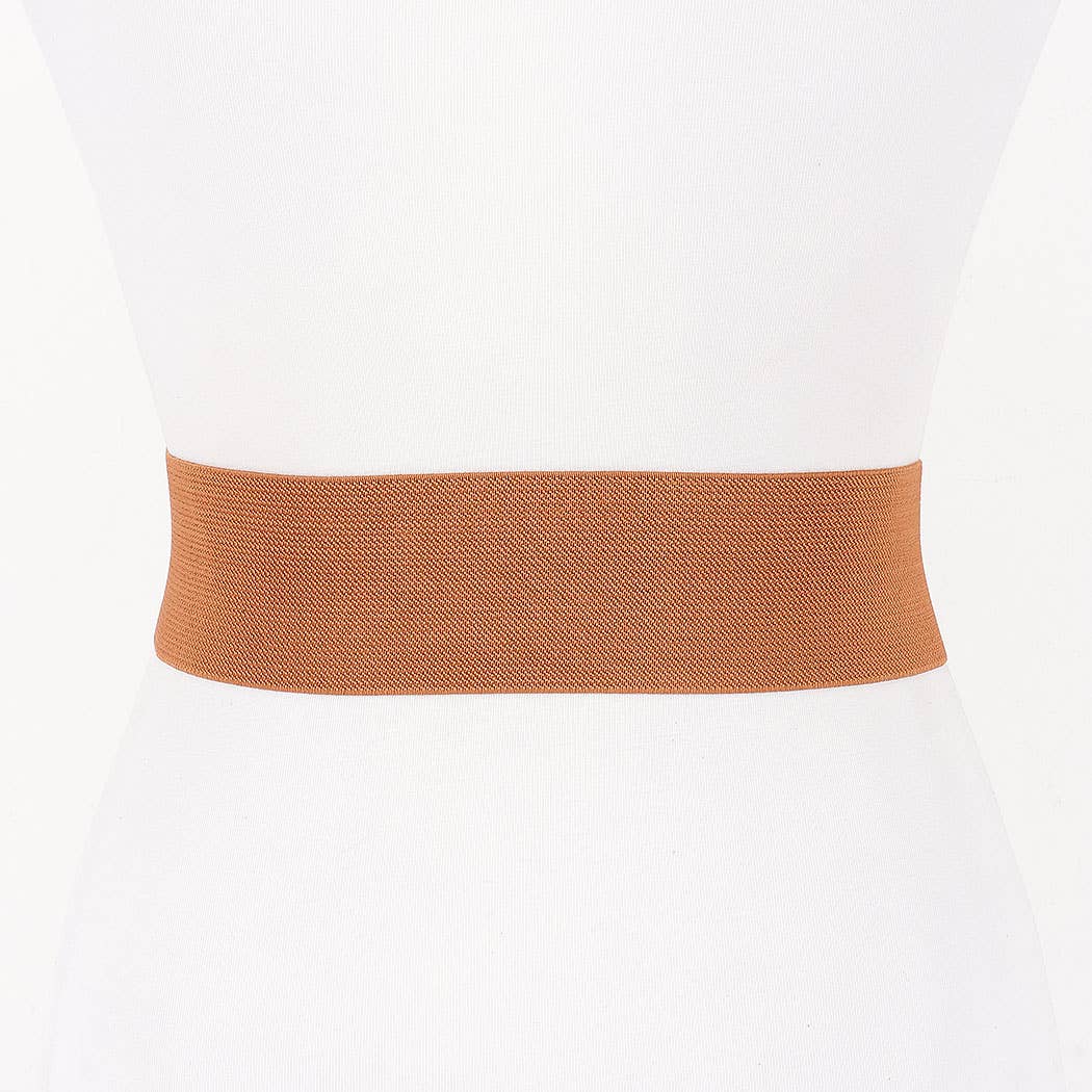Interlocking Buckle Wide Belt: Brown