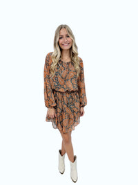 Hidi Paisley Print Dress