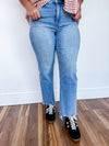 Vervet High Rise Distressed Hem Denim