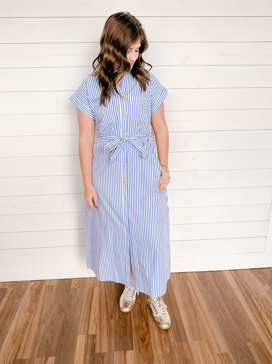 Blue Skies Poplin Dress